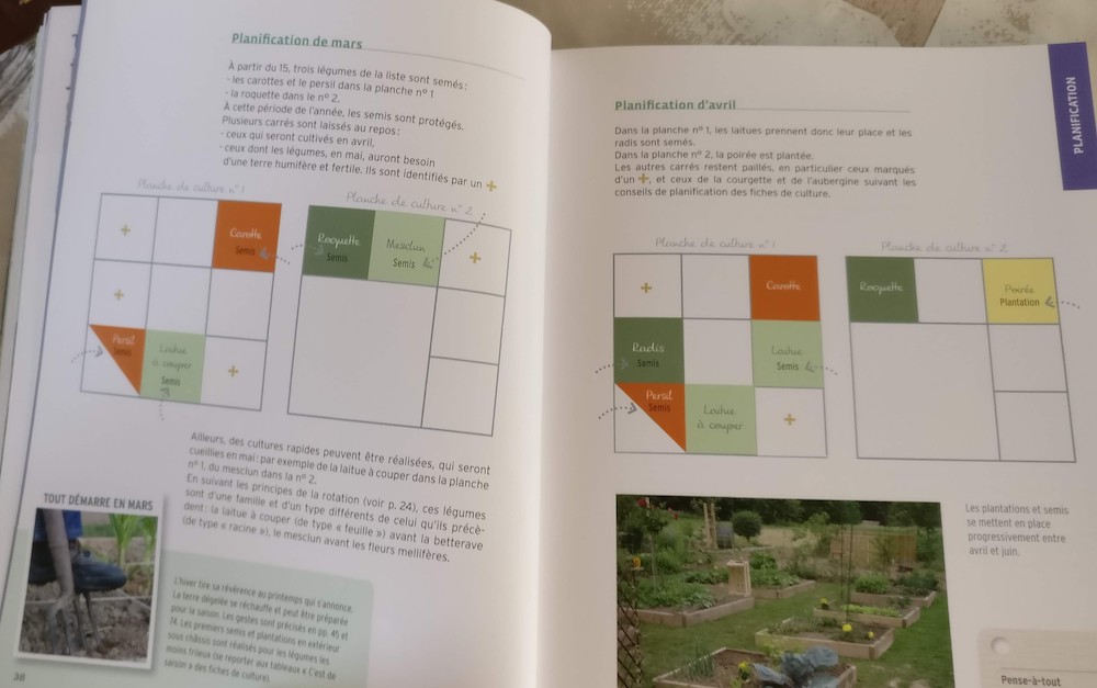 La culture en carrés potager