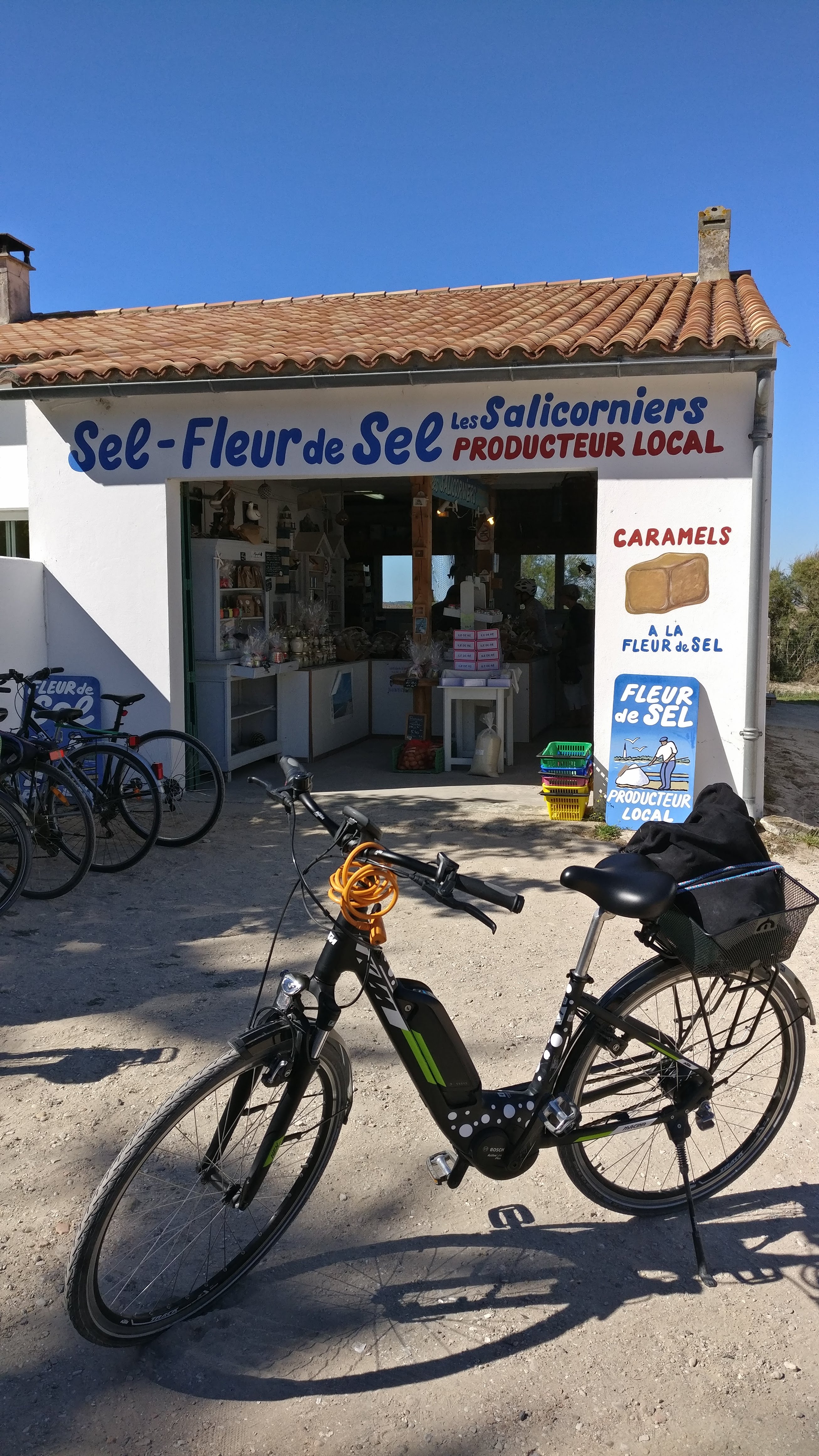 Les Salicorniers à Ars en Ré